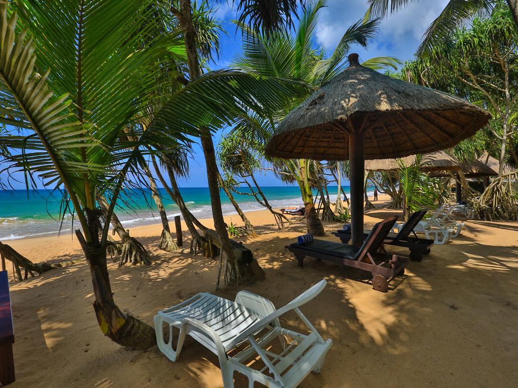 Thejan Beach Cabanas Bentota Zewnętrze zdjęcie